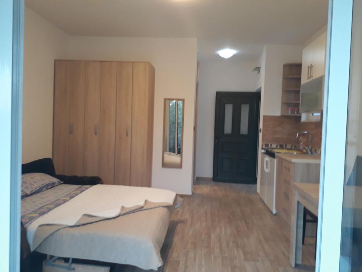 Apartmani Andrea Studio ヘルツェグ・ノヴィ エクステリア 写真